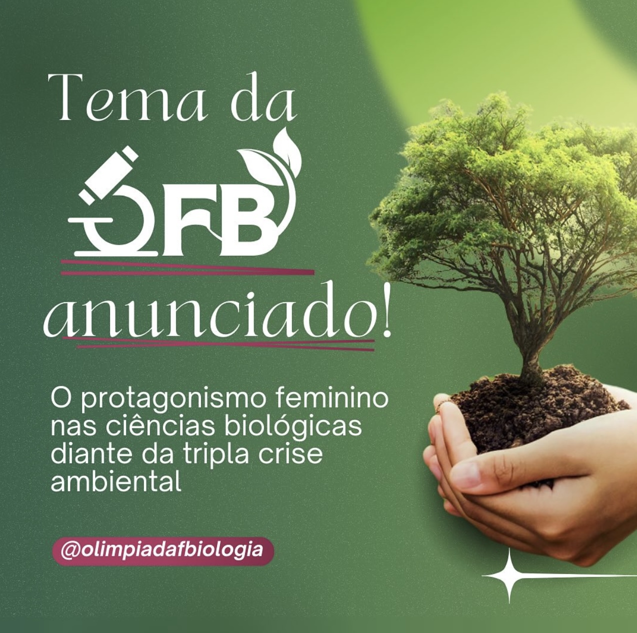 Capa da edição 2025 da OFB